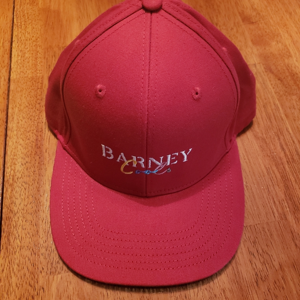 Barney Cools snapback hat